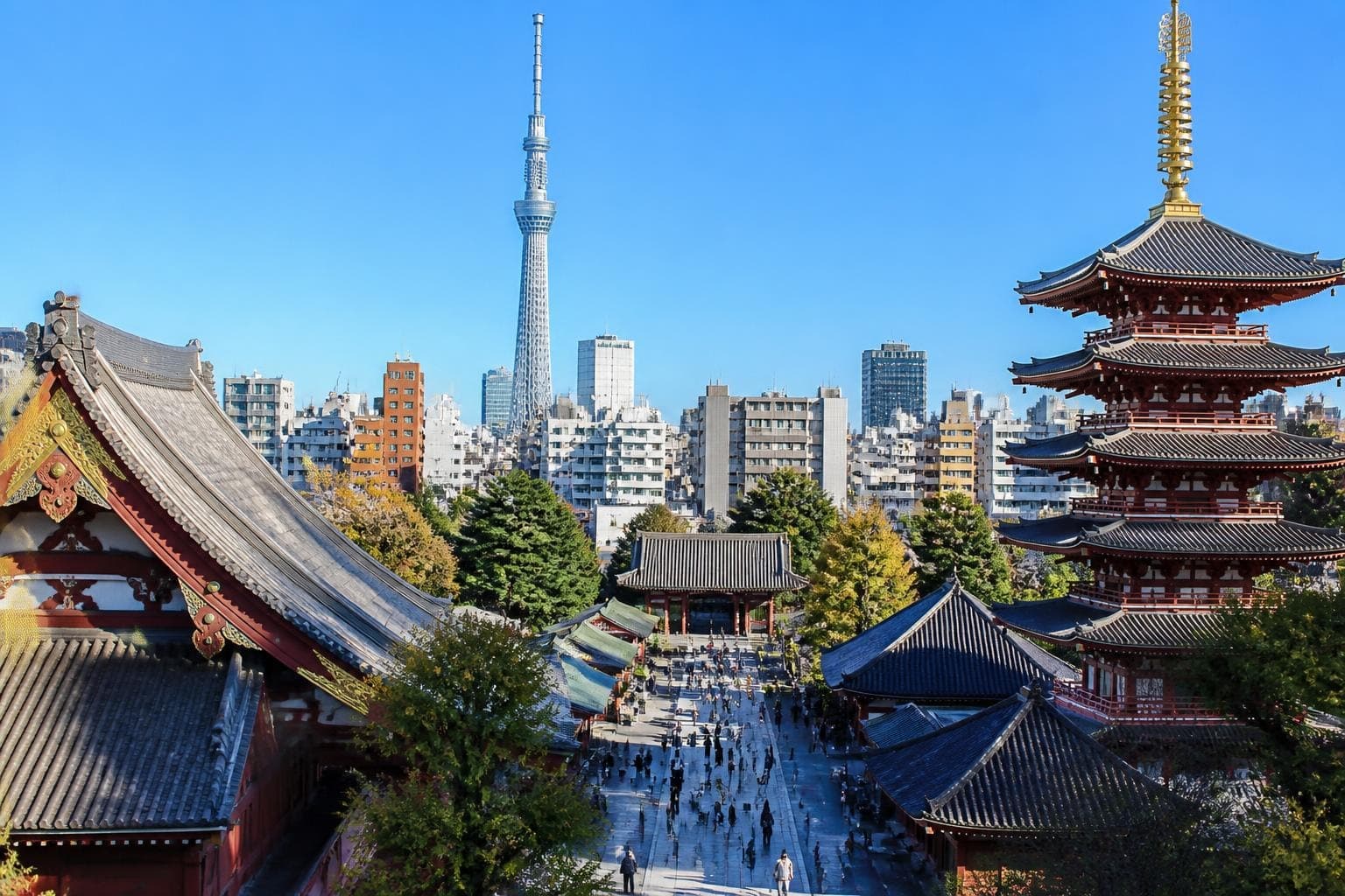 Luxury Japan Travel: Unveiling Tokyo's Best Sights