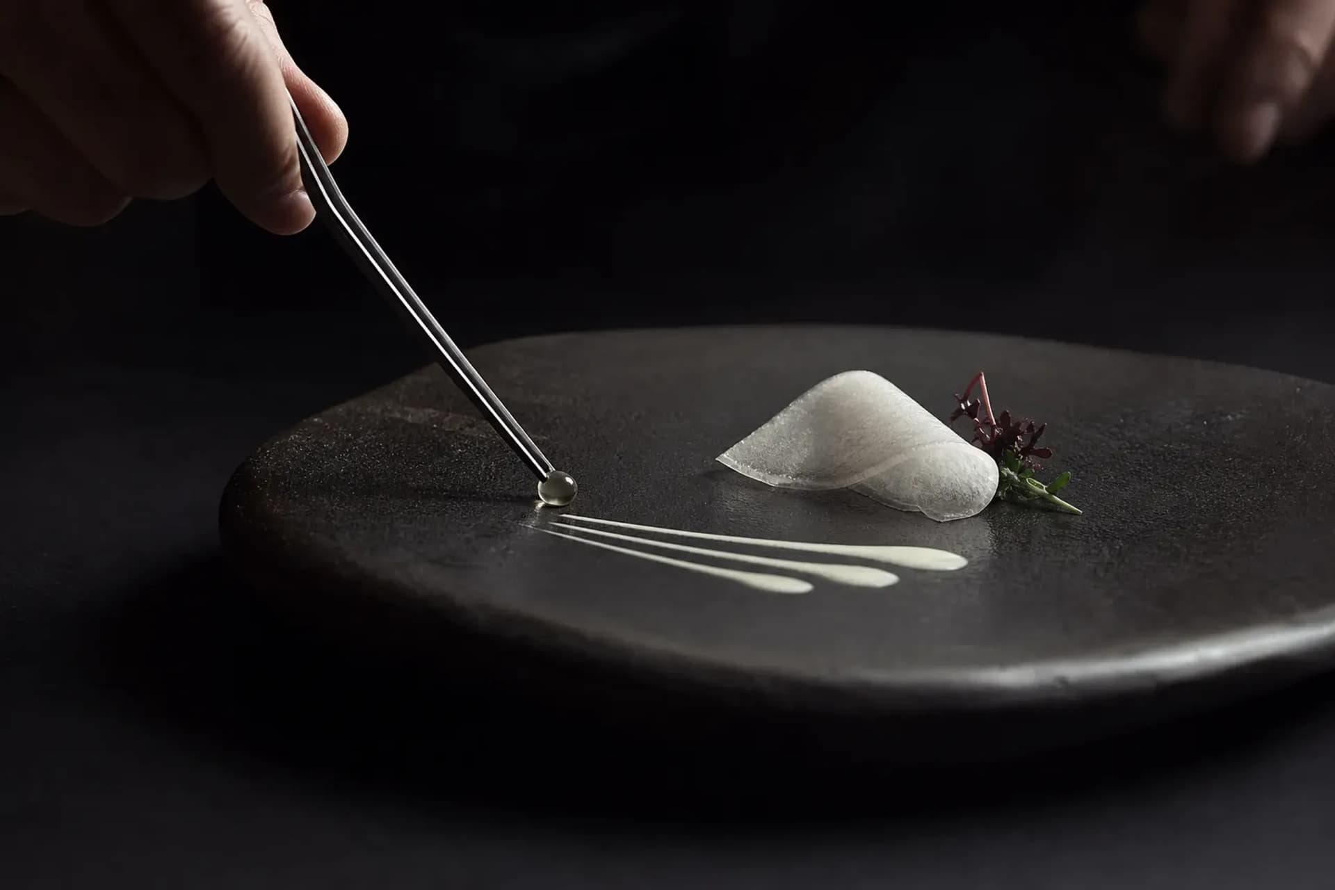 Tokyo Molecular Cuisine: Quietly Radical Dining by JRS