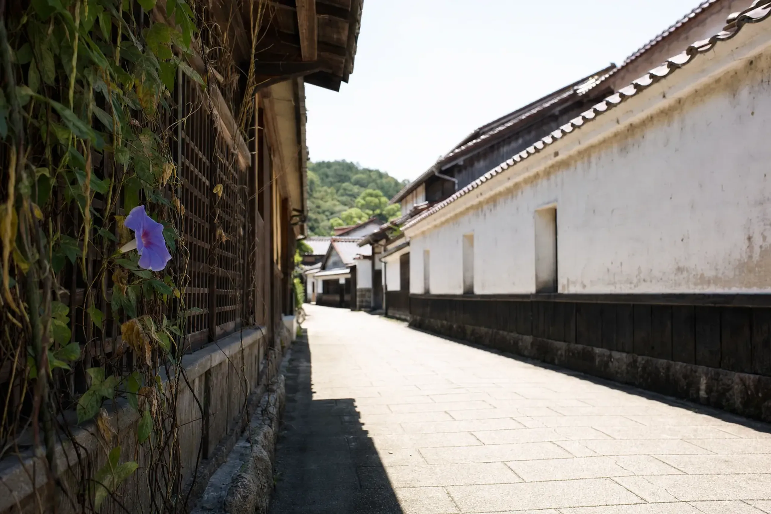 Start with the weather. July in western Japan is midsummer,