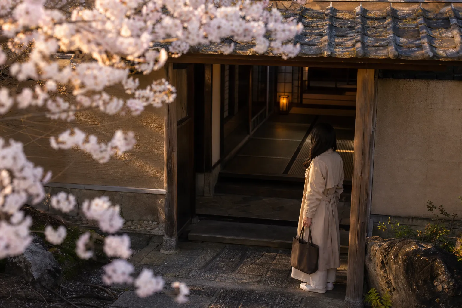 Japan Adventures, Japan