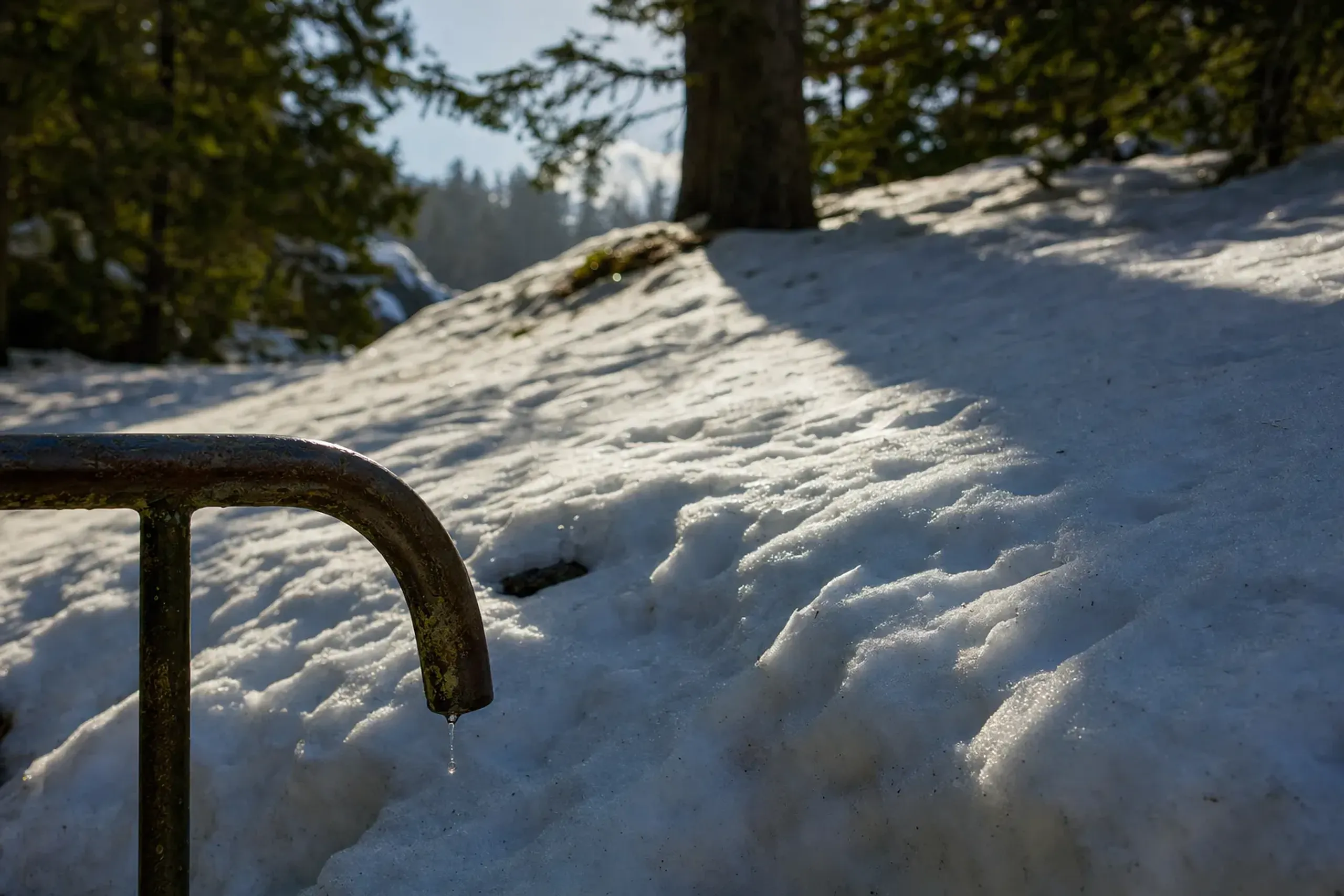 A wet cedar shadow cast across snowmelt beside a dripping handrail on the Zaō mountainside