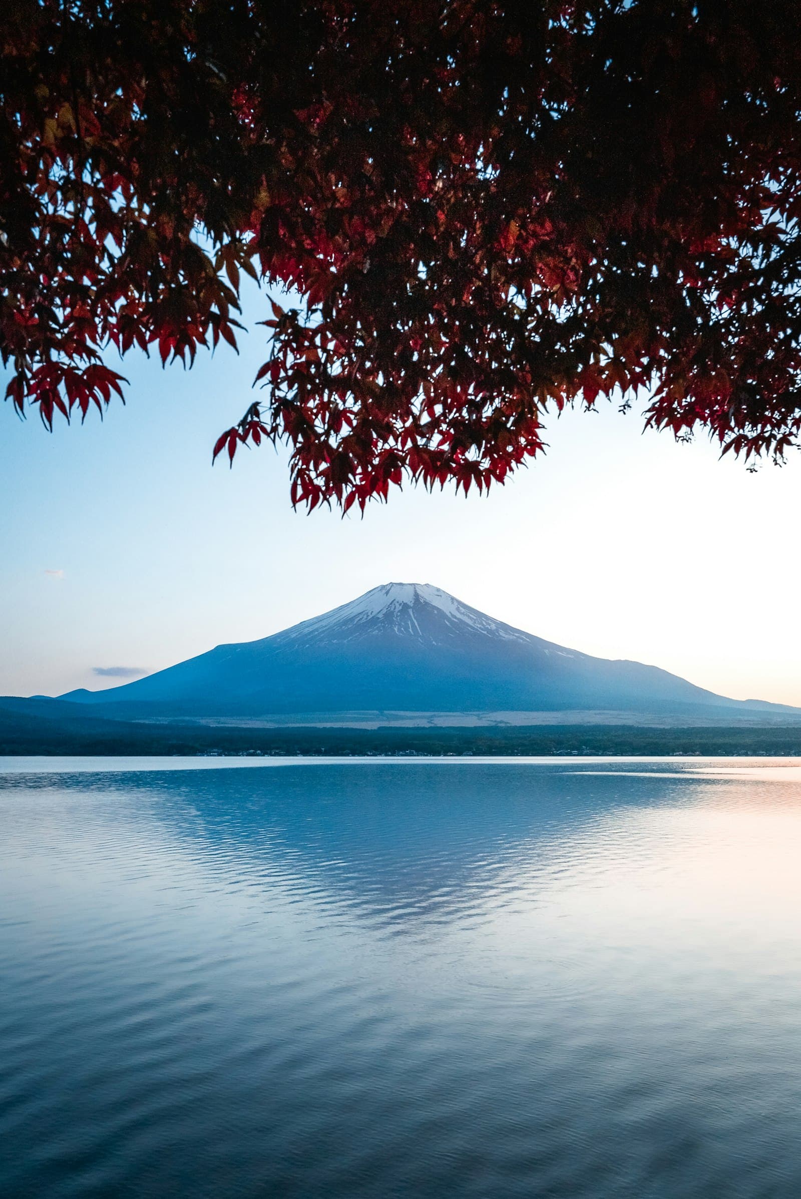 湖と山を彩る紅葉