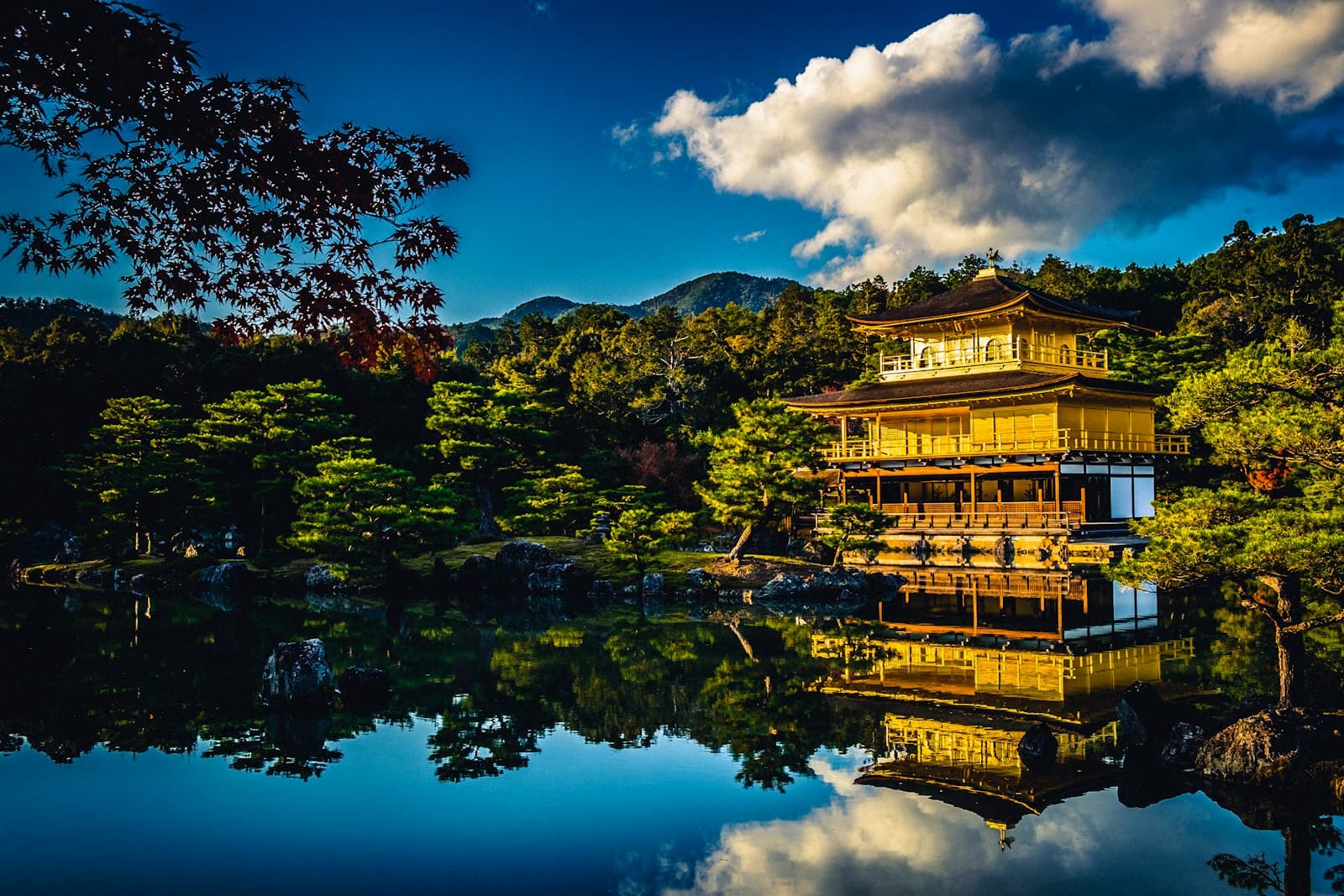 池に映る金閣寺