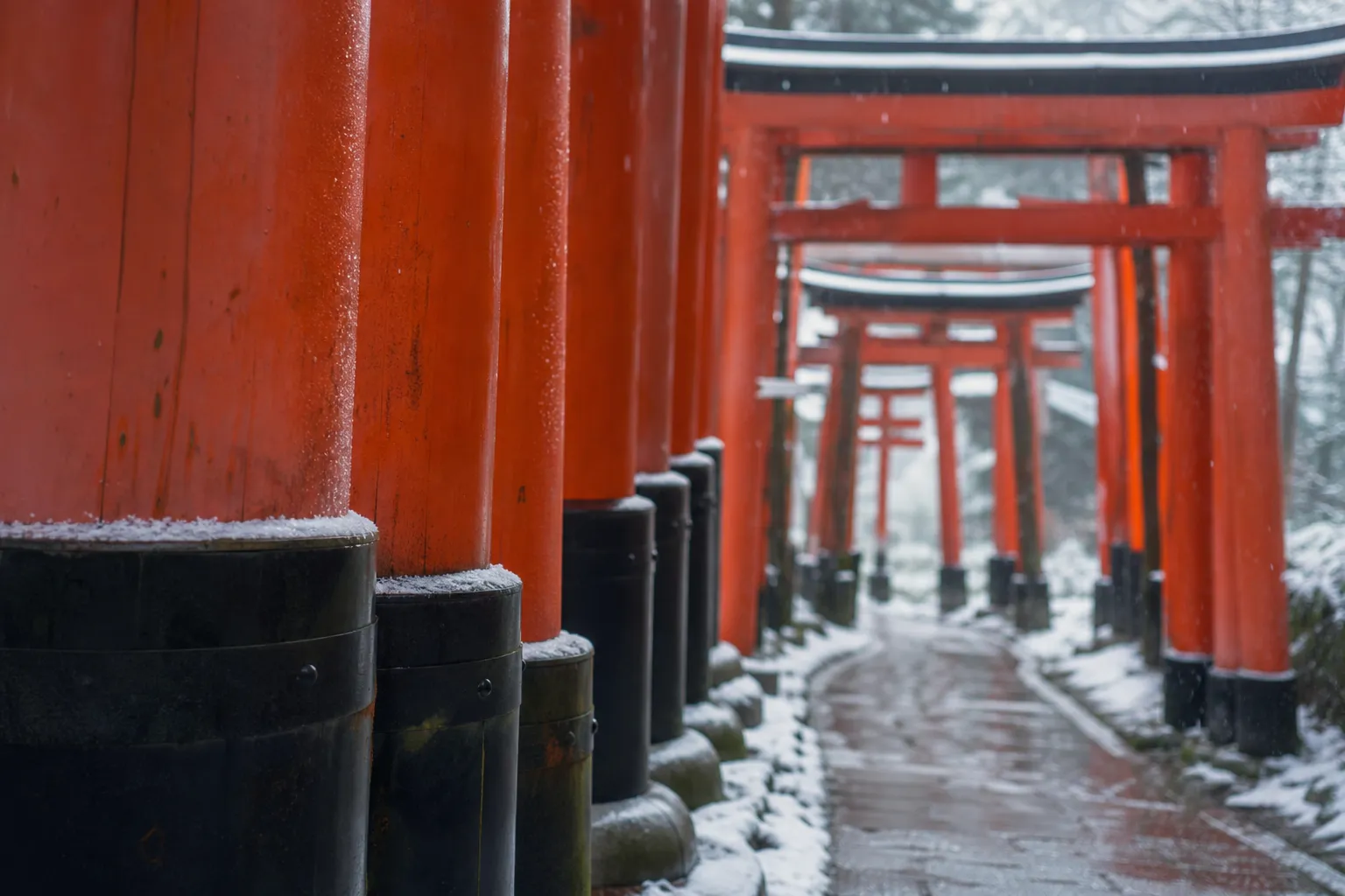 Empty vermilion torii gates at Fushimi Inari Taisha shrine in Kyoto at dawn