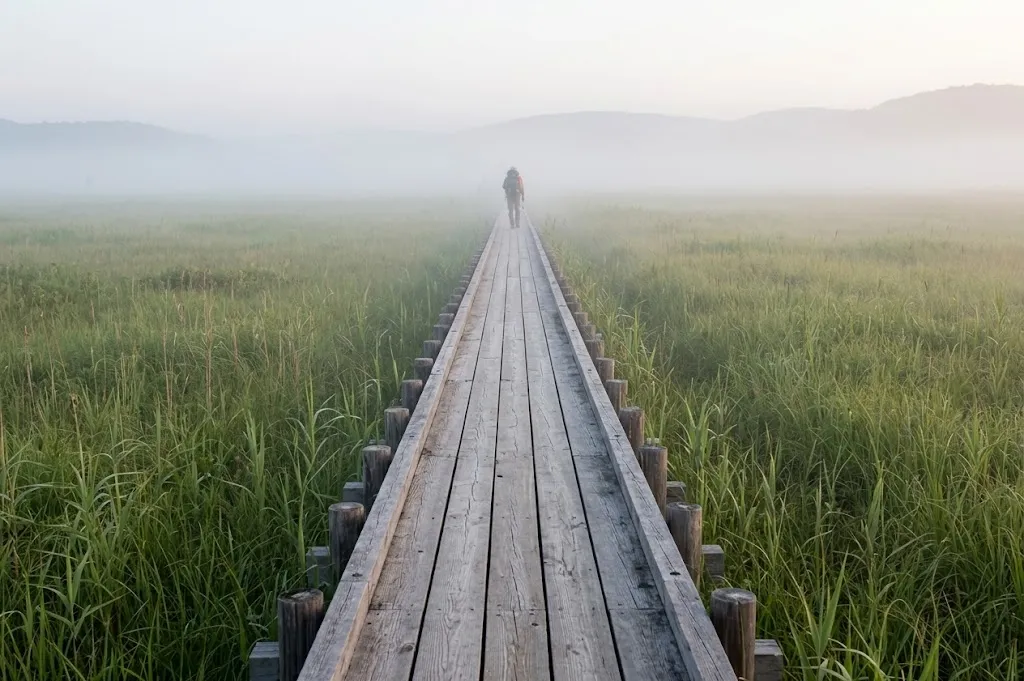 A long wooden boardwalk winding through the vibrant green Kushiro Marshland, partially veiled by a thick, ethereal white summer fog under soft, diffused daylight in eastern Hokkaido.