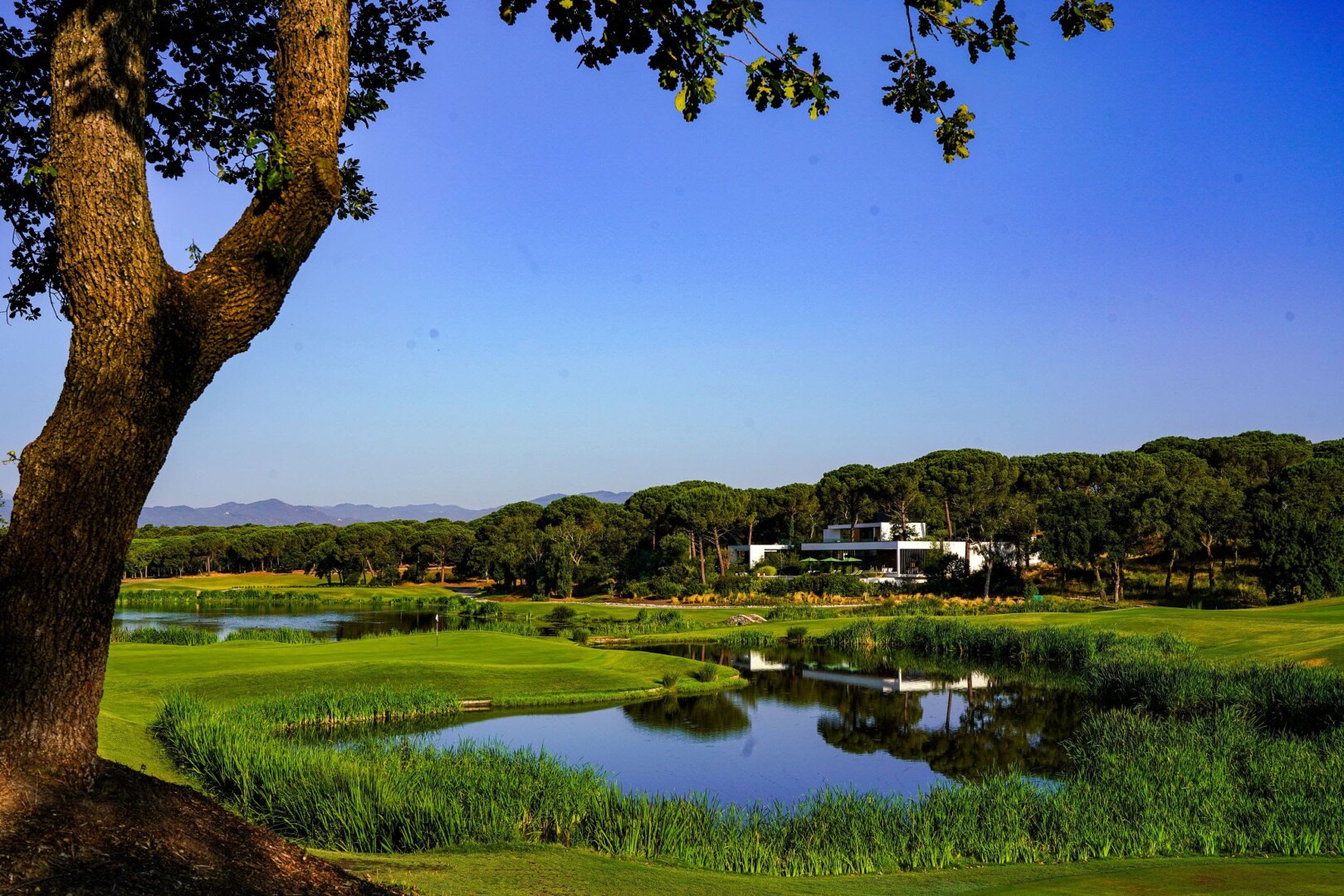Beautifully maintained golf greens bordered by dense pine forests and a clear lake in Spain.